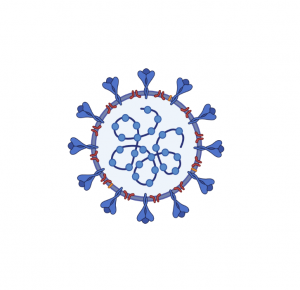 sars-coronavirus-2. Illustration.