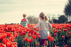 Två barn ute på ett fält med röda tulpaner. Foto.