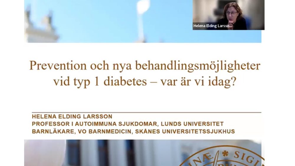 En print screen bild från webbinariet med Helena Elding Larsson. Bild.