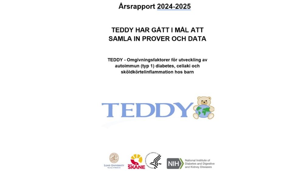 Bild på framsidan av årsrapporten 2024-2025. TEDDY stora bokstäver.