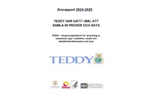 Bild på framsidan av årsrapporten 2024-2025. TEDDY stora bokstäver.